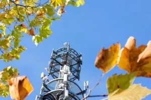 Bithumb Yeni Giriş – Güney Kore’nin En Büyük Kripto Para Borsası