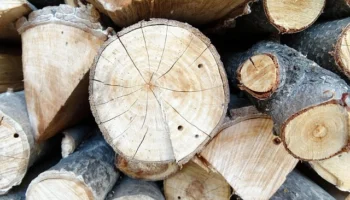 Himalaya Podcasts Yeni Giriş – Kişiselleştirilmiş Podcast Dinleme
