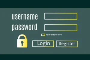 TunnelBear VPN Yeni Giriş – Kolay Kullanımlı ve Güvenli VPN