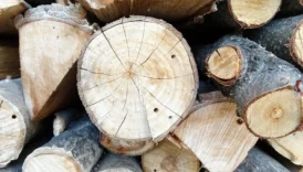 Workana Yeni Giriş – Latin Amerika ve Avrupa İçin Freelance İşler